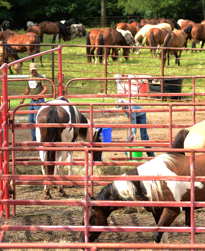 Justin Kennedy preps for the Cattlemen Days Rodeo at the Cedar Valley Riders Saddle Club Arena